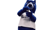 Blue Bear Sticker by Pacific West Injury Law