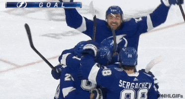 Happy Ice Hockey GIF by NHL