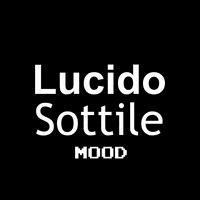 Lucidosottile lucide lelucide lucidosottile GIF