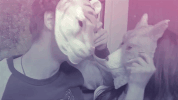 i love you kiss GIF