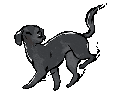 Black Dog Cat Sticker