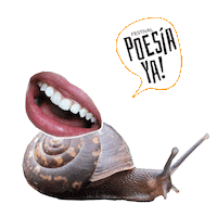 Festival Cultura Sticker by Centro Cultural Kirchner