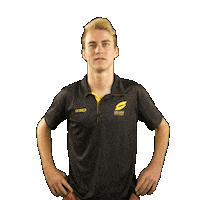 Red Bull Arrow Sticker by Super League Triathlon