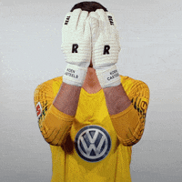 World Cup Football GIF by VfL Wolfsburg