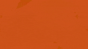 Art Film GIF by jorgemariozuleta