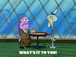 season 5 GIF by SpongeBob SquarePants
