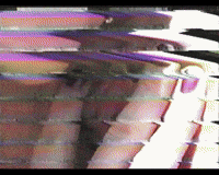 Vhs Glitch GIF
