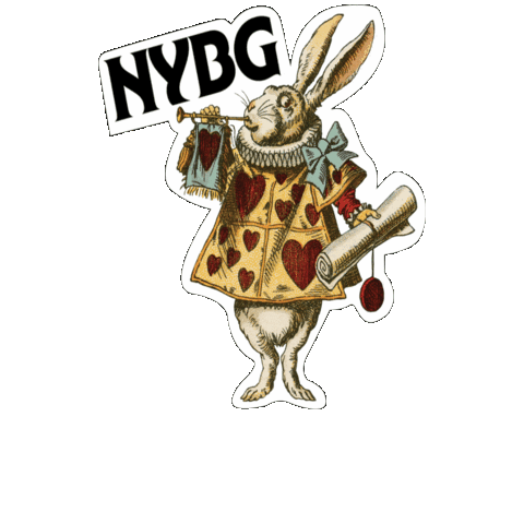 nybg wonderland white rabbit nybg Sticker
