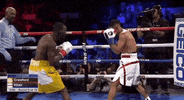 toprank boxing fighting espn fighters GIF