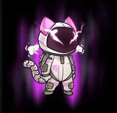 HeroGalaxyNFT cat astronaut hg spacecat GIF