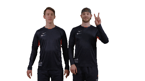 Teamnl Beachvolleybal Sticker by Nevobo