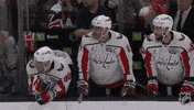 Happy Washington Capitals GIF by NHL
