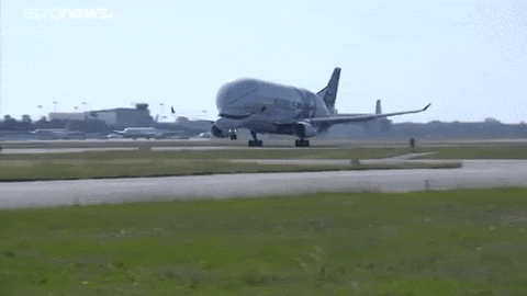 Take Off Plane GIF by euronews
