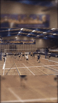 WebtonHengelo volleyball reception GIF