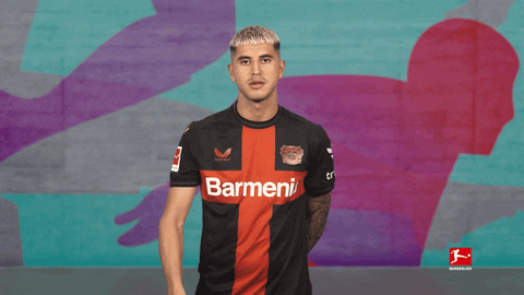 Come Here Bayer Leverkusen GIF by Bundesliga