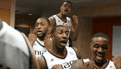 miamihurricanes sports college ncaa miami GIF