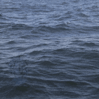 y00k medusa bernini floathead float-head GIF