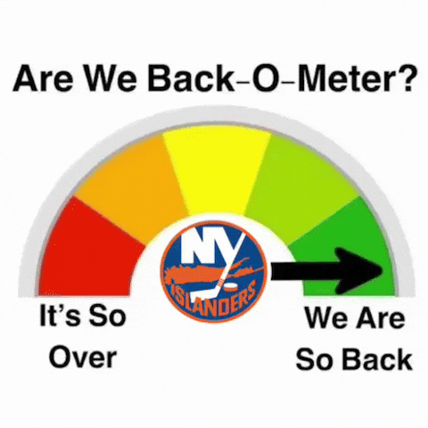 New York Islanders GIF