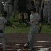 Sport Celebration GIF by Vanderbilt Athletics