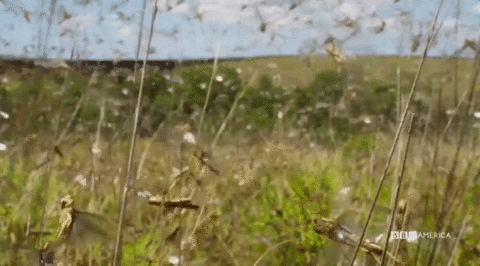 GIF by Vulture.com