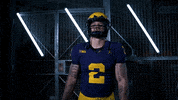 Go Blue GIF by Michigan Athletics