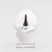 northernterroir wine tus whitewine drywine GIF