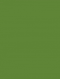 ValorOffroad logo green swipe xd GIF