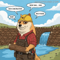 Shiba Inu Wow GIF by Doge Pound