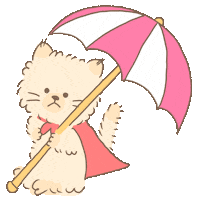 Cat Summer Sticker by koimoffee