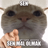 Sen Qwertyy GIF