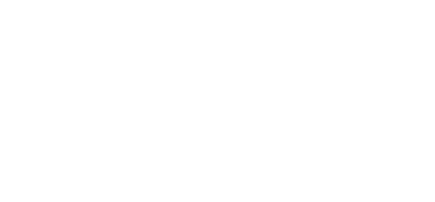 Fly Soar Sticker