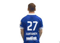 Floorball Salibandy Sticker by F-liiga