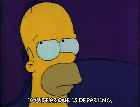 Season 2 GIF by The Simpsons