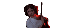 Princess Leia Under Cover Sticker
