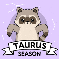 Zodiac Sign Bitcoin GIF by Ordinary Frends