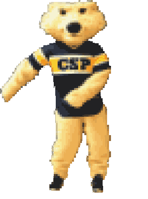 ConcordiaStPaul giphyupload csp concordia university comet bear Sticker