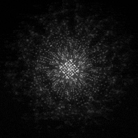 black and white design GIF by Motion Addicts