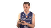 Liga Endesa Basketball Sticker by ACB
