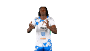 Sport Bundesliga Sticker by WWK Volleys Herrsching