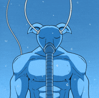 Shiba Inu Waiting GIF by MILLI