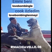 Emmi GIF