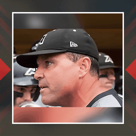 joesottolano giphygifmaker giphyattribution joe sottolano GIF