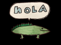 Holasenorita GIF by Kunstkwartier