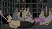 bunny rabbit GIF by South Park 