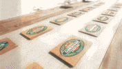 Challenge Logos GIF by Survivor CBS