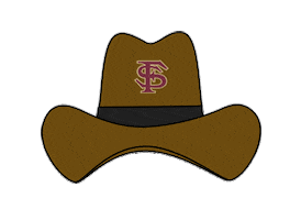 fsu seminoles Sticker by Florida State University