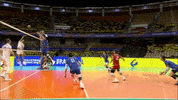 France Yes GIF by Volleyball World