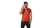 Ipl Dhoni Sticker by Dream11