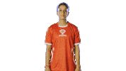 Ipl Dhoni Sticker by Dream11