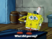 season 3 GIF by SpongeBob SquarePants